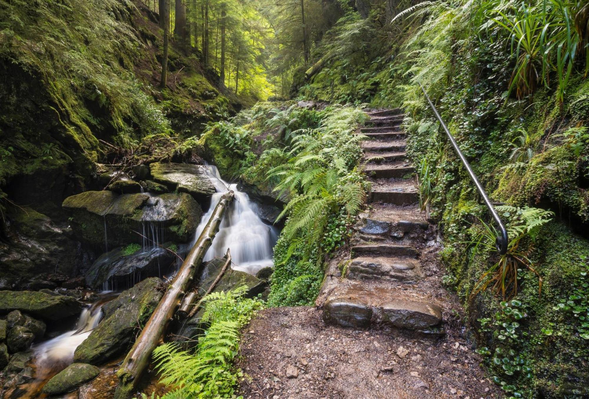 Loch View Lodge Данун Екстериор снимка